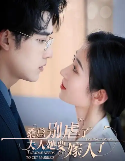 潮汐之城热播剧全集免费看